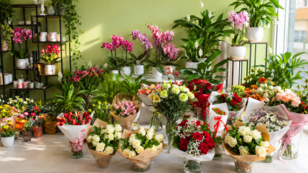 Boutique de fleurs Etterbeek Boutique de fleurs Etterbeek