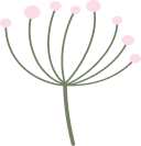 fleurs