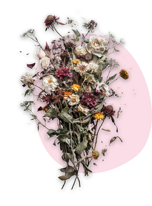 Fleurs séchées